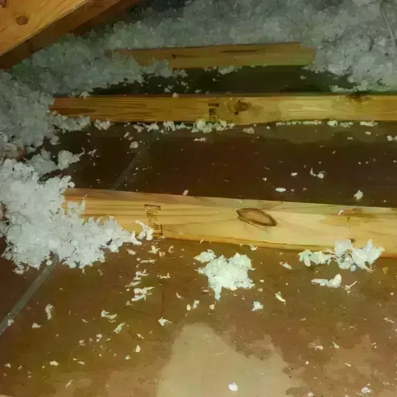 Attic Water Damage in Larch Way, WA